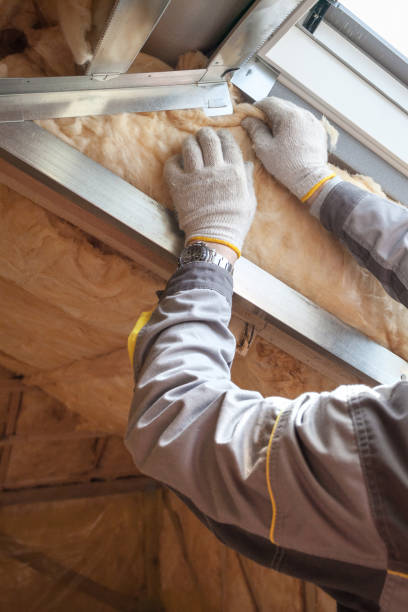 Professional Insulation Contractor in Traer, IA